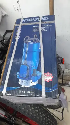 Aquapond 1HP Shallow Well Submersible Pump