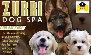 Dog Grooming Spa