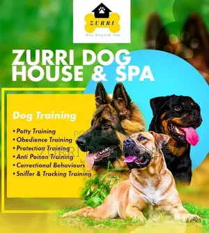 Pro Dog Trainers