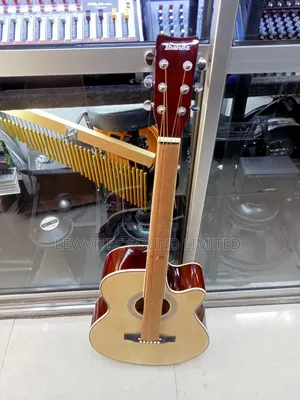 Natural Acoustic 40
