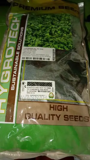Lucerne Aurora Seeds From Hygrotech - 1kg