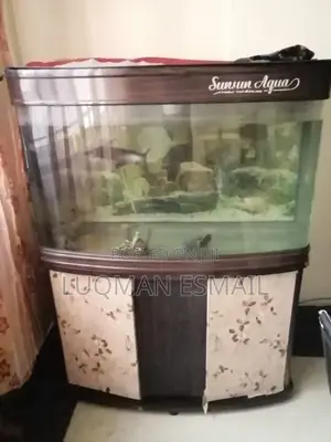 Imported Aquarium