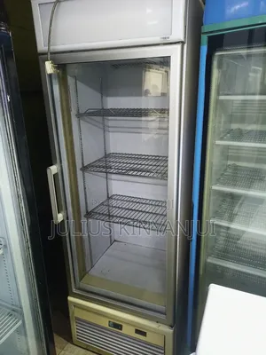 Upright Freezer Display