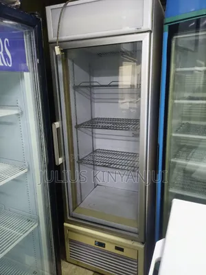 Upright Freezer Display
