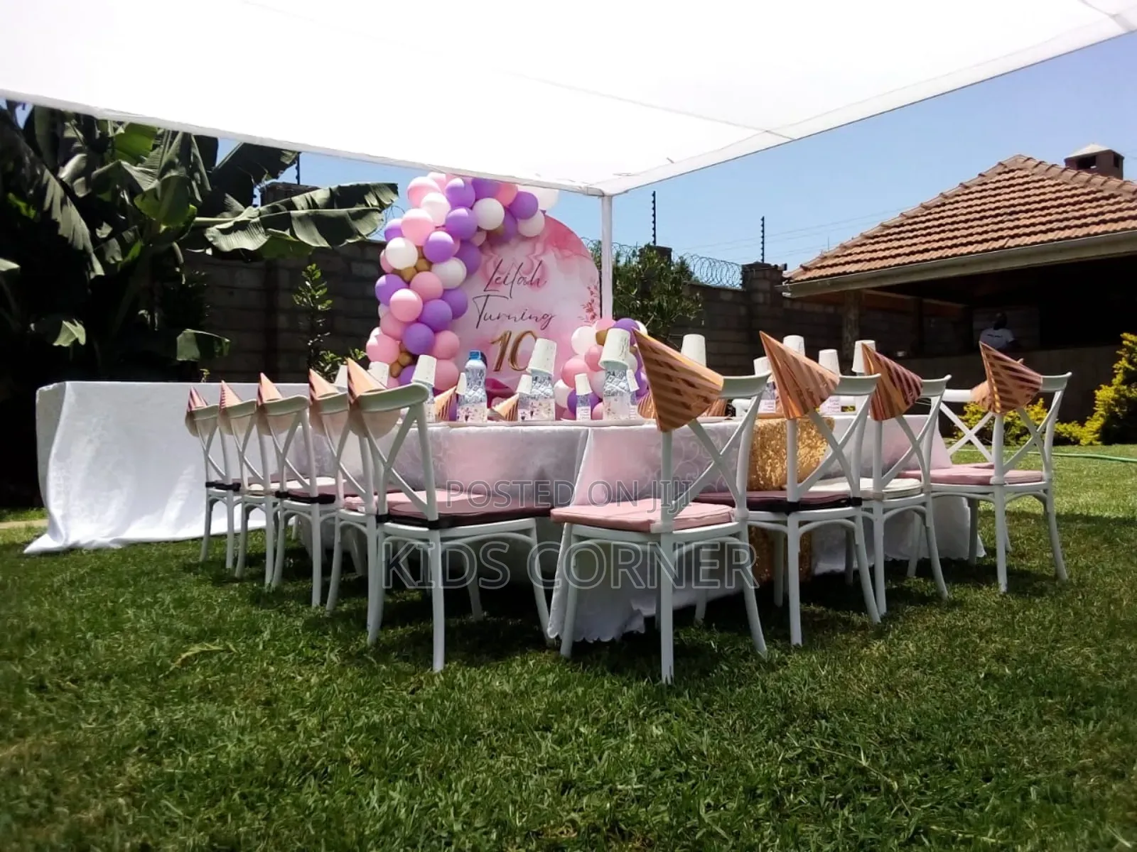 Birthday Party Decorations