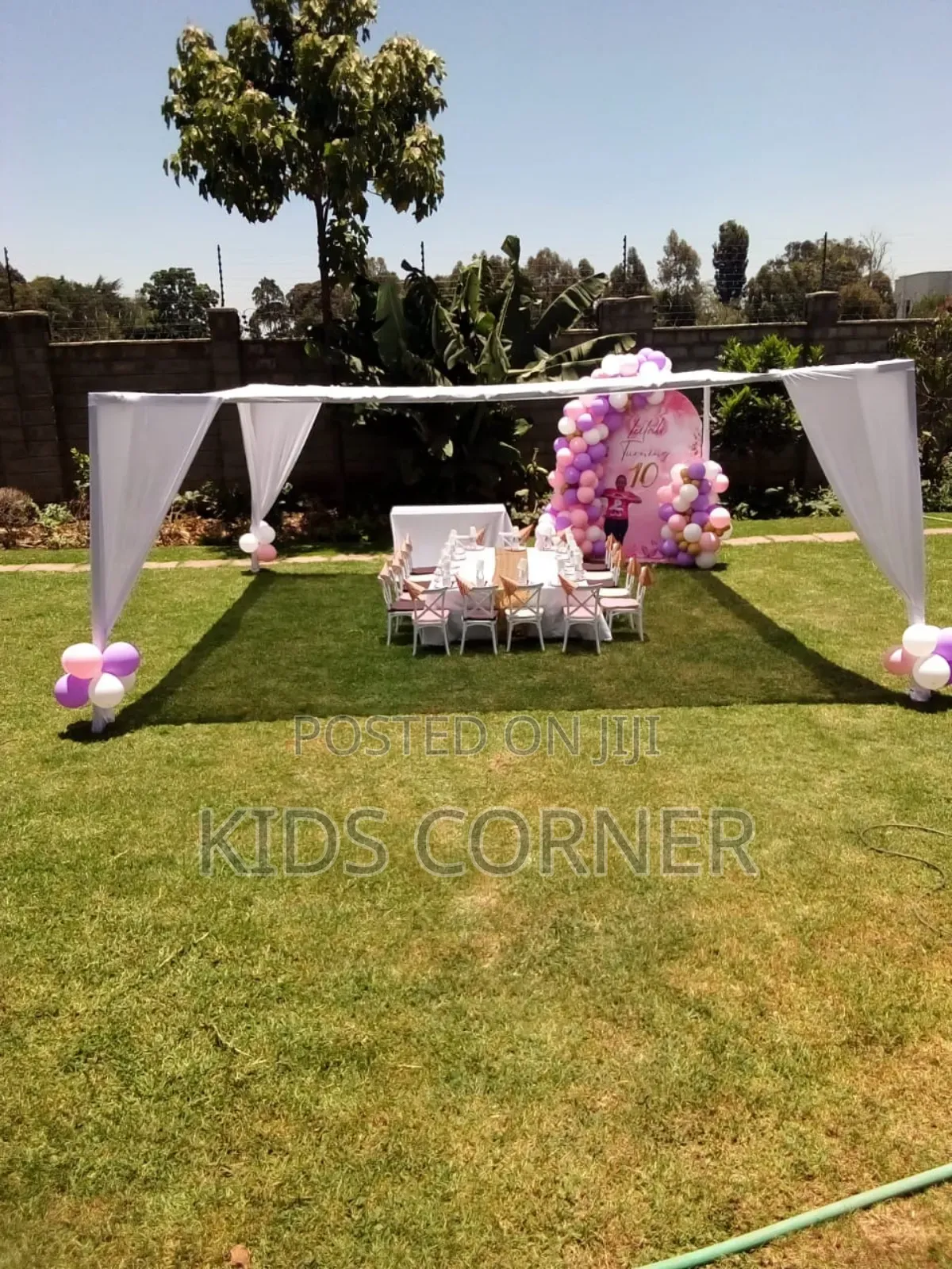 Birthday Party Decorations