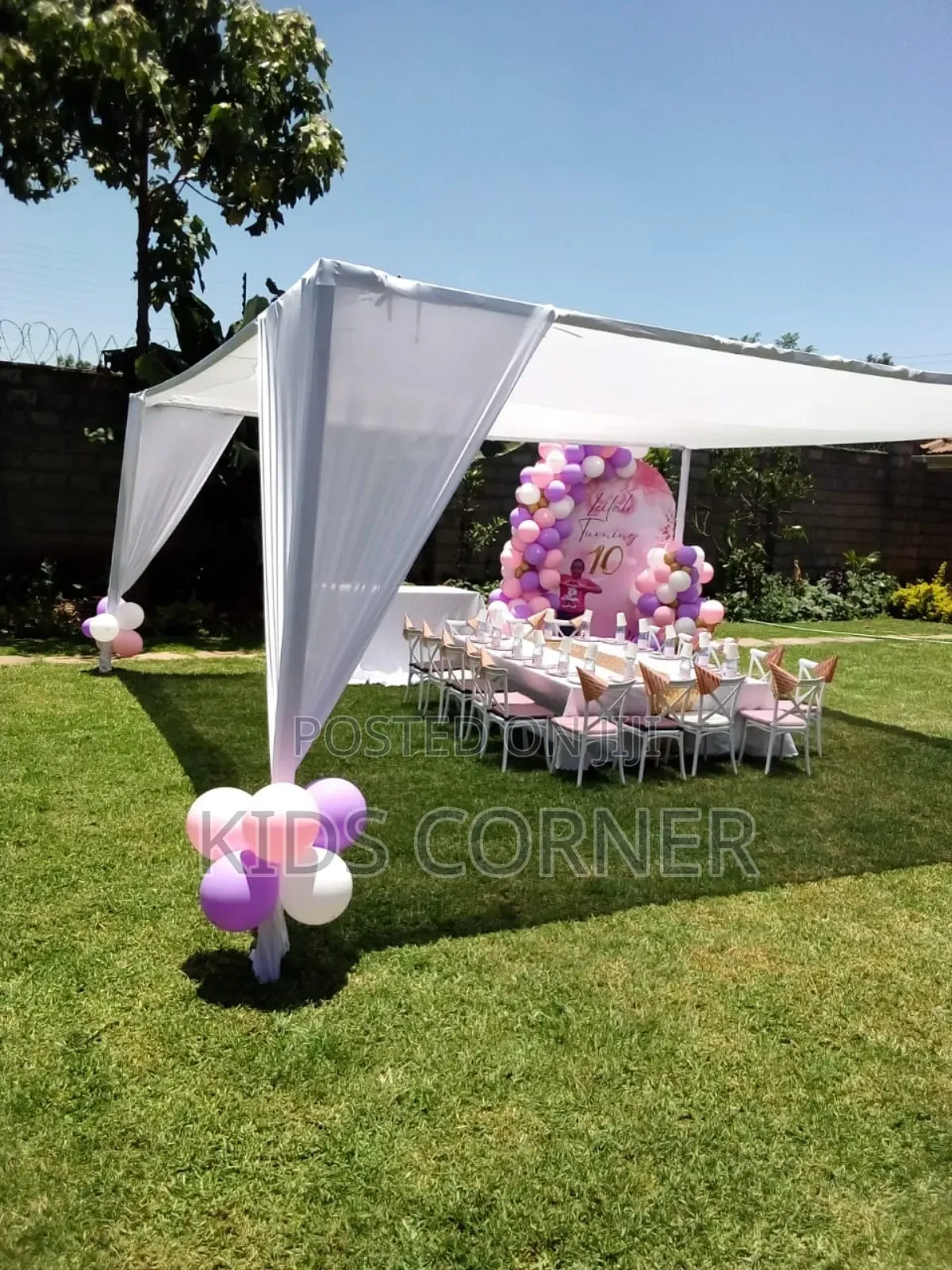 Birthday Party Decorations