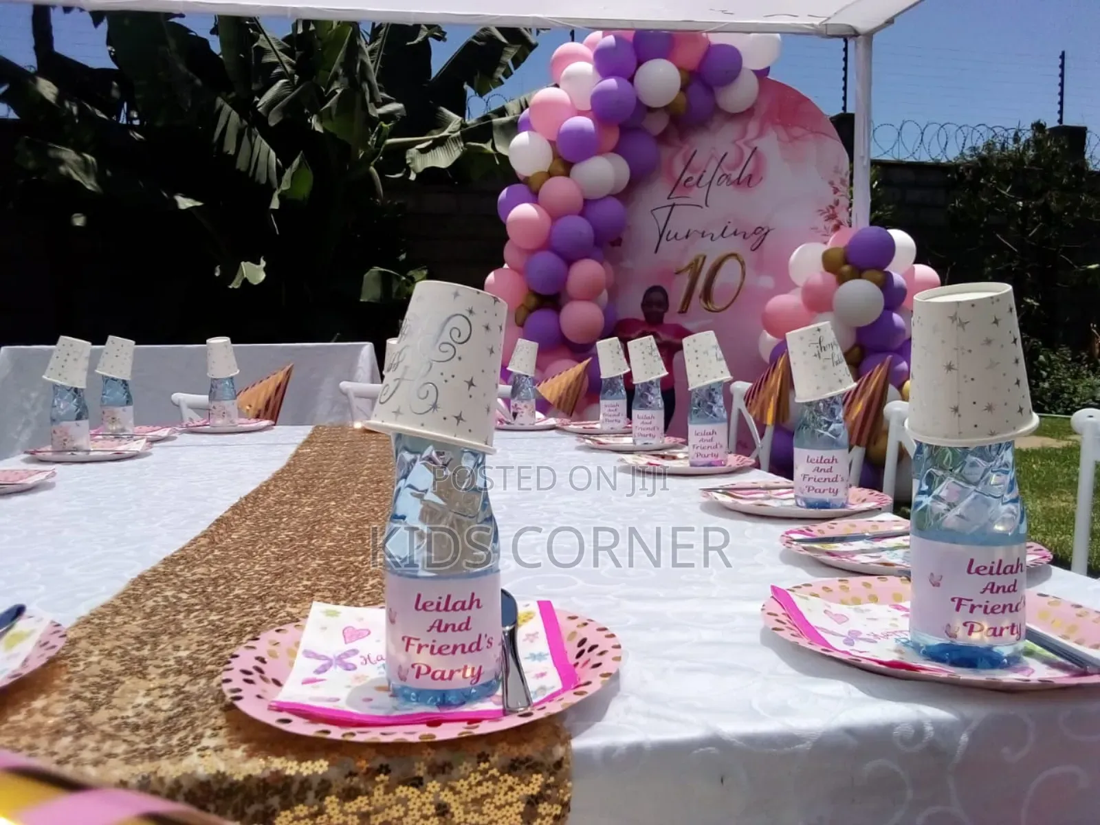 Birthday Party Decorations