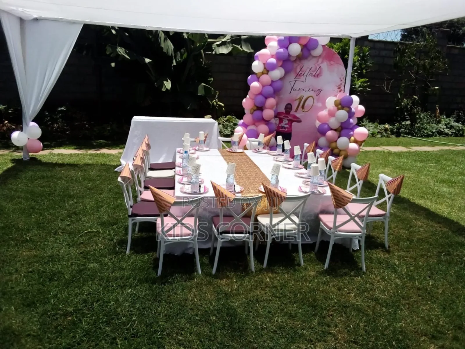 Birthday Party Decorations