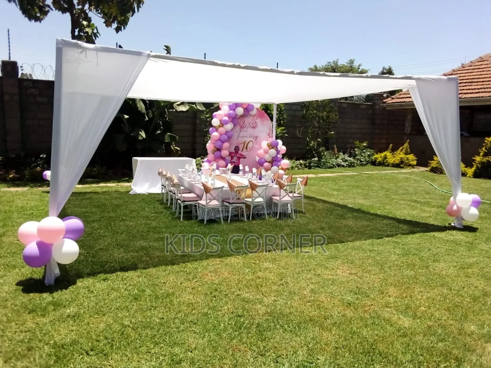 Birthday Party Decorations