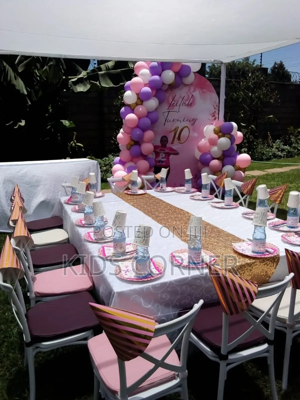 Birthday Party Decorations