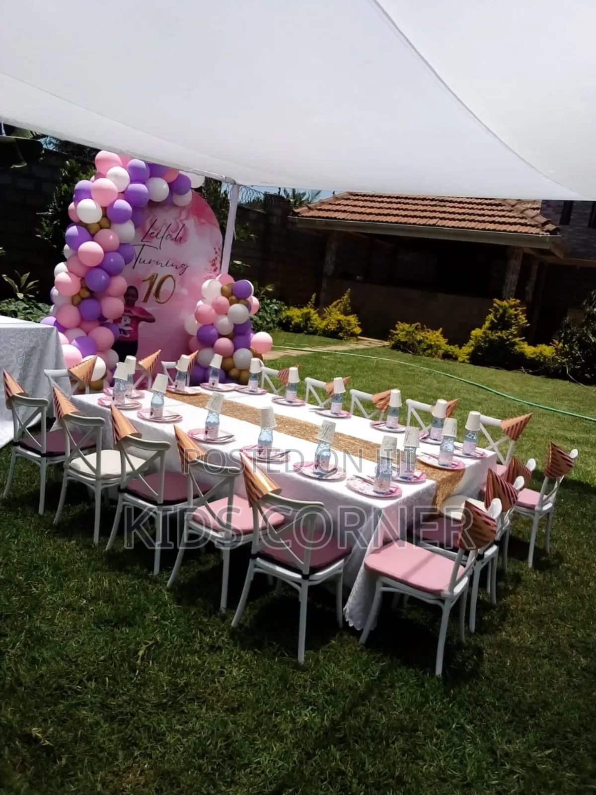 Birthday Party Decorations