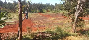 50 by 100 Plots on Sale at Murang'a Embassy