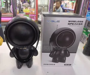 Wireless Portable Speaker