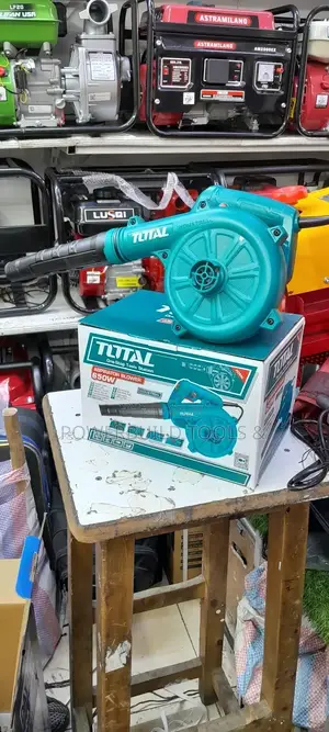Handheld Electric Blower