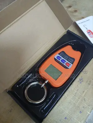 200kg Digital Crane Scale