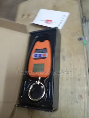 200kg Digital Crane Scale