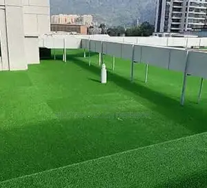 Luxurious Turf Grass Carpets