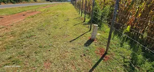 Commercial Plot Touching Houghway for Sale Eldoret Chepkanga