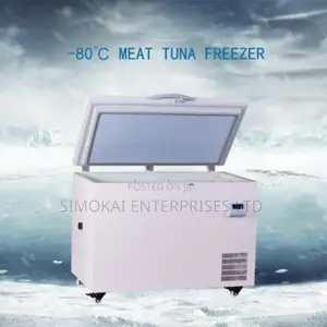 Solar Freezer BD/BC 308 Litres