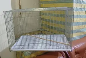 Budgies and Love Birds Cages.