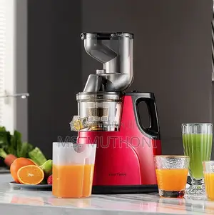 Electric Slow Juicer
