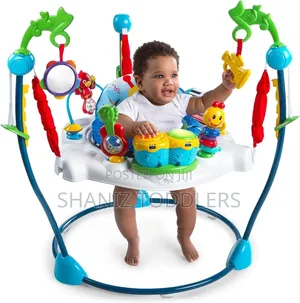 Baby Bouncer/ Jumperoo