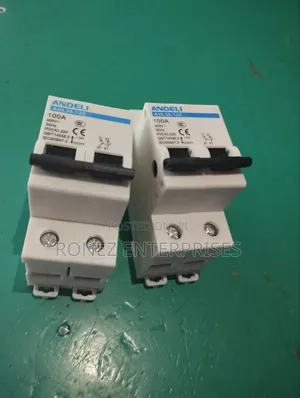 Double Pole 100 Amps