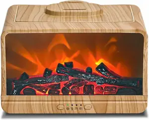 Flame Fire Aromatherapy Diffuser /