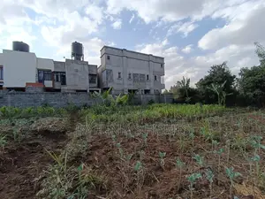 1/2 Acre Plot for Sale in Ghorofani, Kasarani