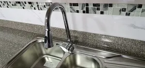 Single Handle Stainless Steel Pull-Down Faucet.