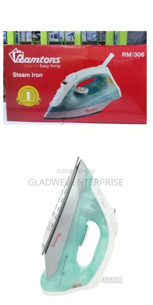 Steam Iron Box Domestic