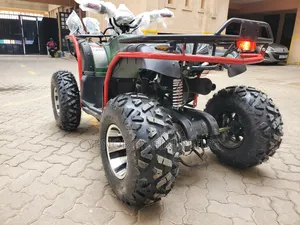 200cc Dominator Off-Road Quadbike 2024