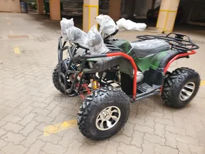 Automatic Off Road Quadbike With Reverse Gear