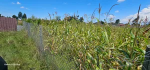 Prime Plot for Sale in Kuinet Eldoret