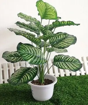 Artificial Decor Flower/Plant