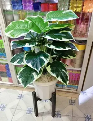 Decor Flower + Wooden Stand