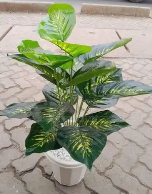 Artificial Plant, Vase + Pebble Stones