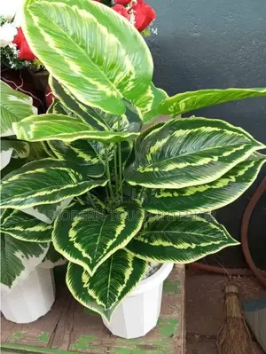 Elegant Artificial Plants/ Flowers