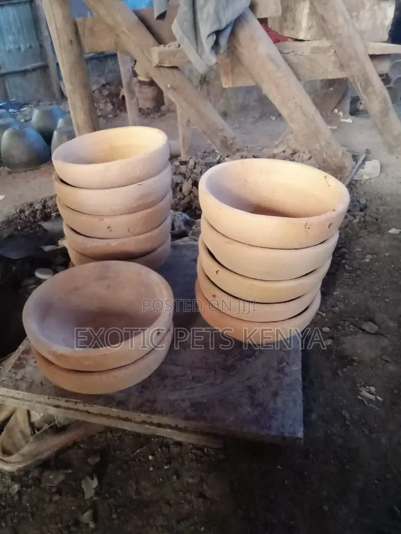 Clay Pigeon Nests
