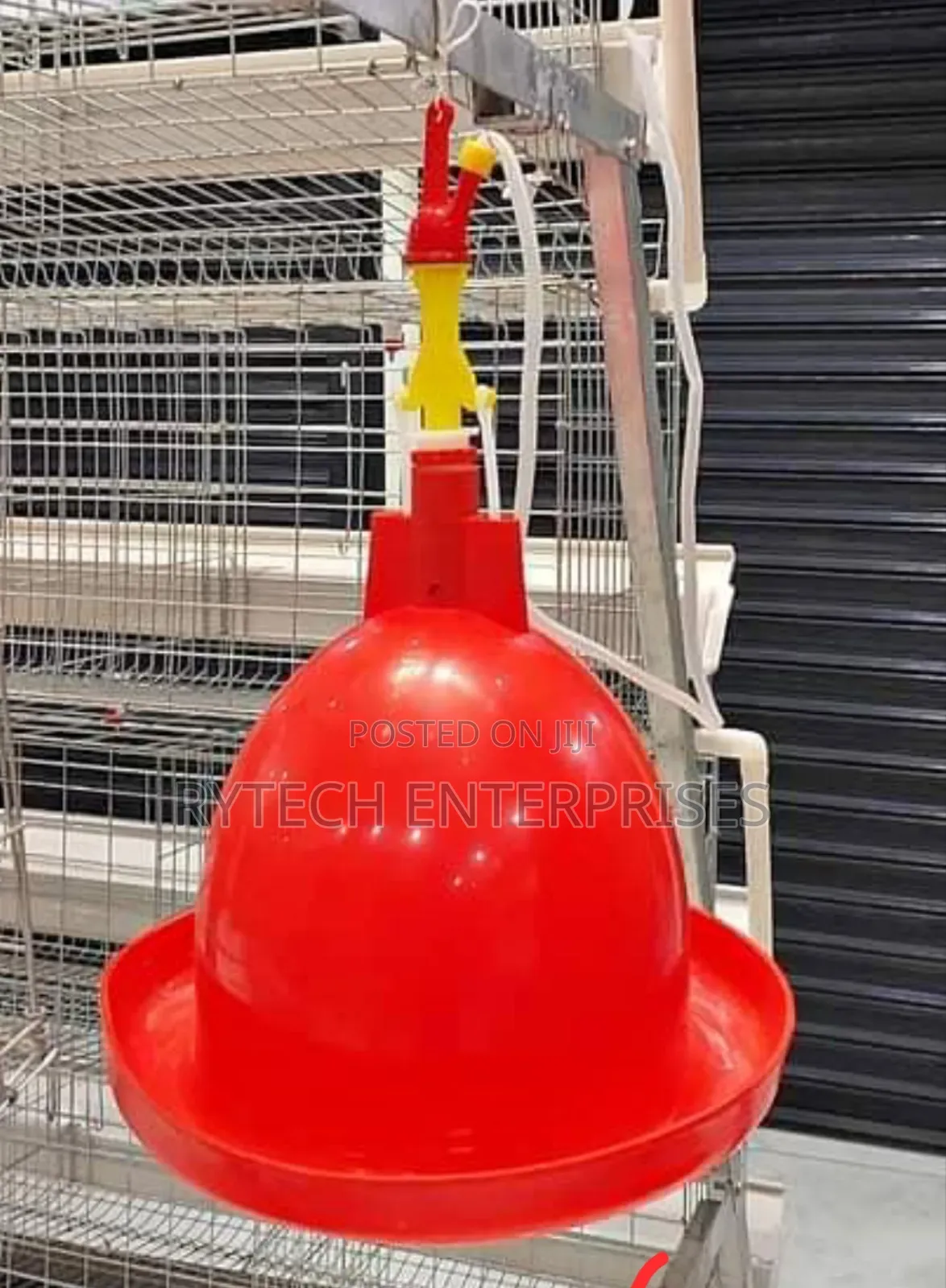 Bell Drinker/Bell Drinker