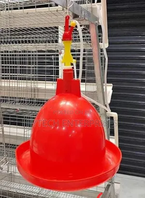 Bell Drinker/Bell Drinker