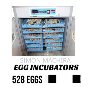 528 Eggs Incubator With Automatic Roller