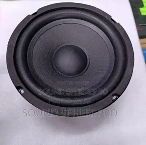 6 Inch Double Magnet Speaker