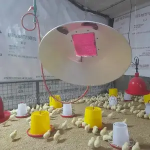 Poultry Gas Brooder Heater for 1500 to 2000 Chicks