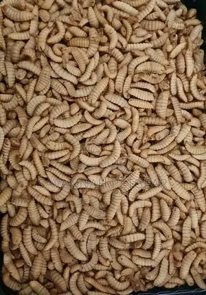 Black Soldier Fly Maggot to Feed Fish and Livestock - 20kg