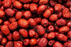 Jujube ( Chinese / Red Dates ) Seedlings