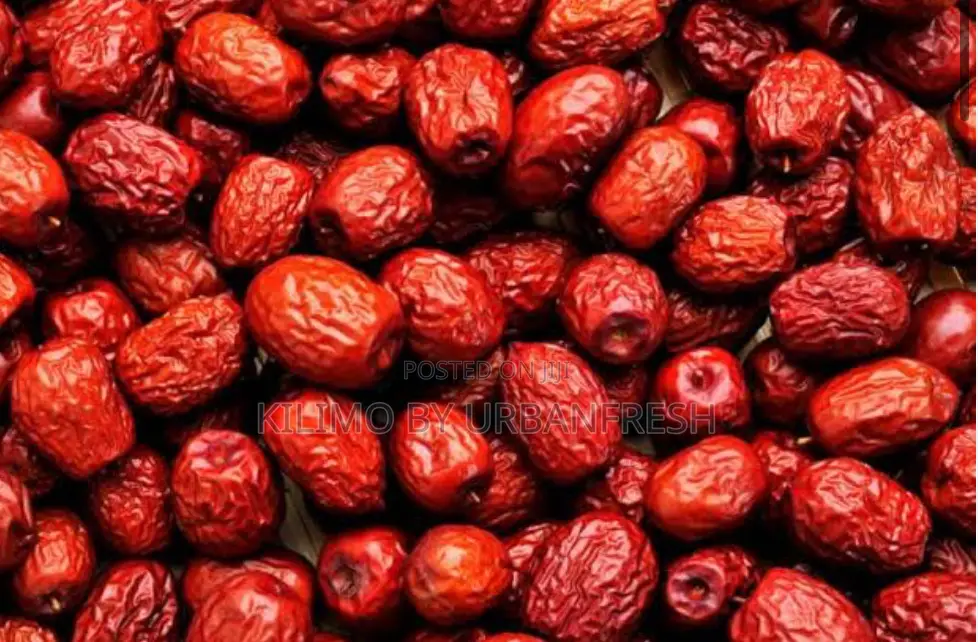 Jujube ( Chinese / Red Dates ) Seedlings