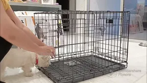 Metallic Dog Crates