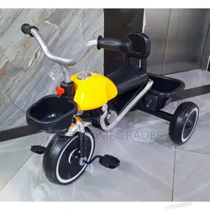 Tricycle Bike